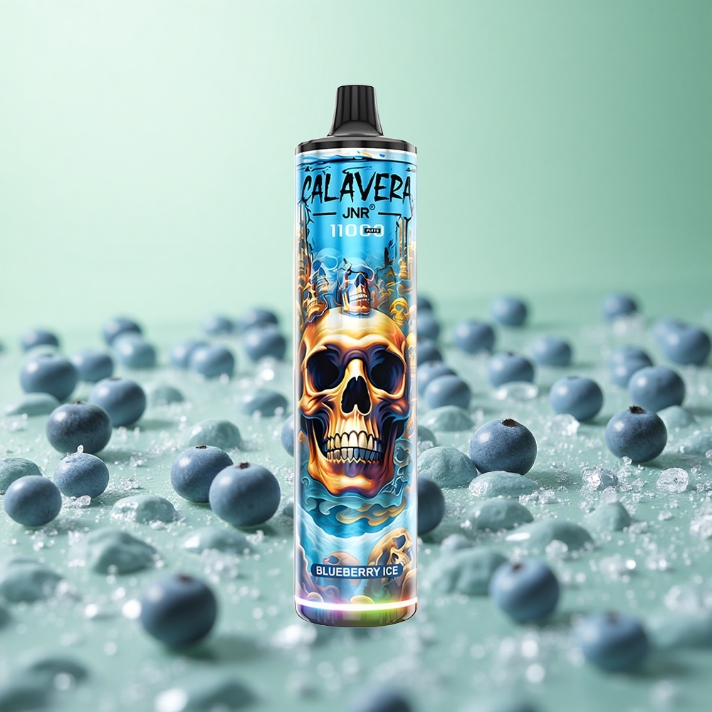 JNR Calavera 11000 Puffs Μπλέ Μούρο Πάγωμα Greece vape wholesale Type-C 21ml