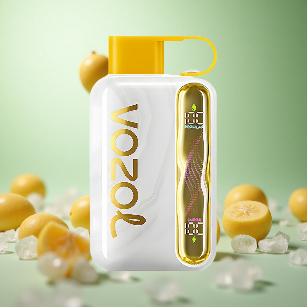 VOZOL STAR 40000 Puffs Μάνγκο Πάγος Greece vape wholesale 1000mAh Type-C
