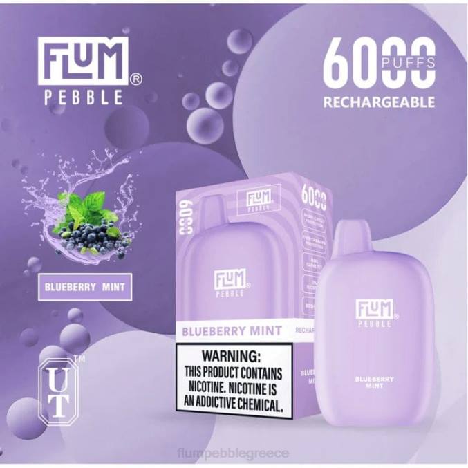404V17 FLUM PEBBLE best flavor - μέντα βατόμουρου FLUM PEBBLES 6000 ρουφηξιές