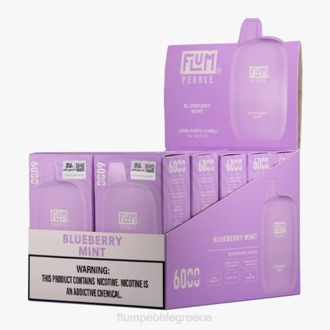 404V18 FLUM PEBBLE vape near me - μέντα βατόμουρου FLUM PEBBLES 6000 ρουφηξιές 10 συσκευασίες