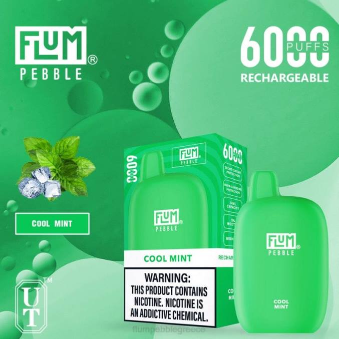 404V24 FLUM PEBBLE price - δροσερή μέντα FLUM PEBBLES 6000 ρουφηξιές