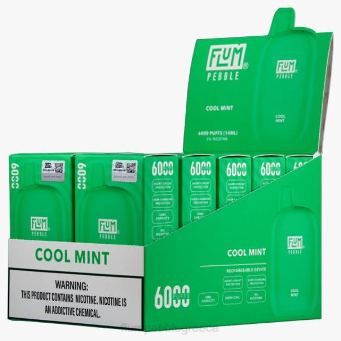 404V26 FLUM PEBBLE flavors - δροσερή μέντα FLUM PEBBLES 6000 ρουφηξιές 10 συσκευασίες